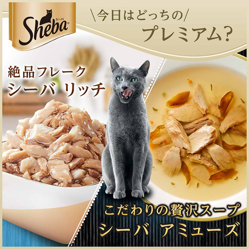 シーバ アミューズ