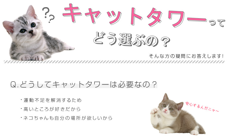 キャットタワーの選び方