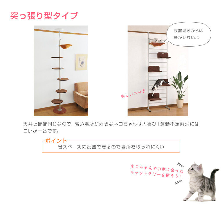 キャットタワーの選び方