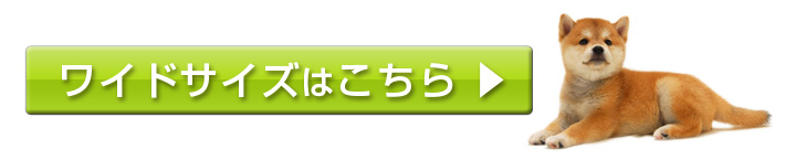 ワイドサイズはこちら