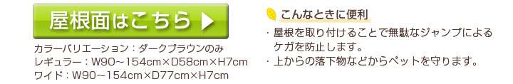 屋根面はこちら