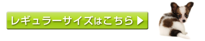 レギュラーサイズはこちら
