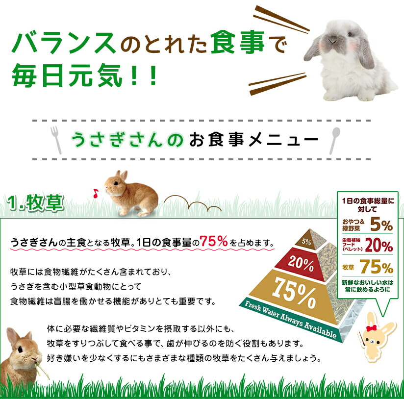 うさぎさんのお食事メニュー