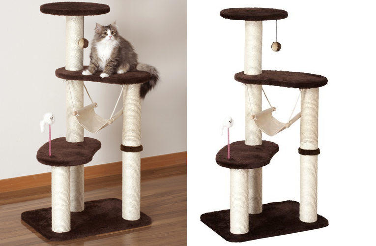 キャティースクラッチリビング