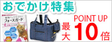 お出かけ特集
