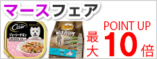 マースフェア