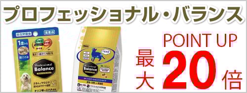 プロフェッショナル・バランスフェア