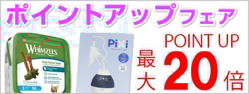 ポイントアップフェア