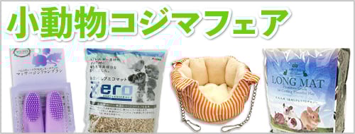 小動物_コジマ特集
