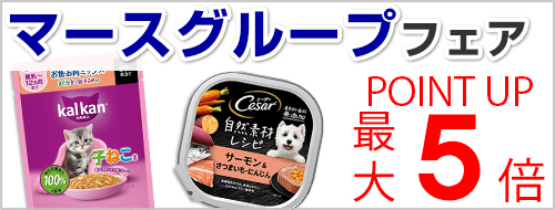 マースグループフェア