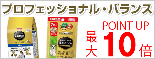 プロフェッショナル・バランスフェア