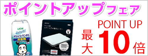 ポイントアップフェア