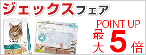 ジェックスフェア
