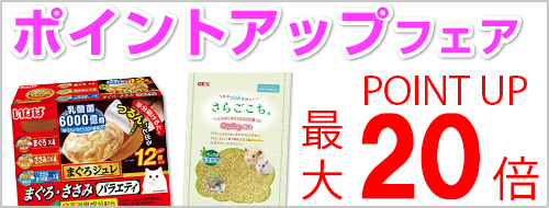 ポイントアップフェア