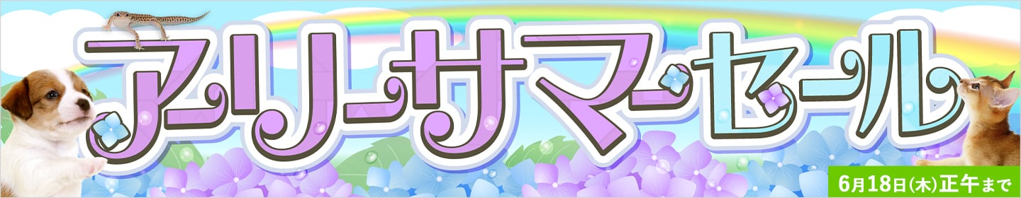 セール