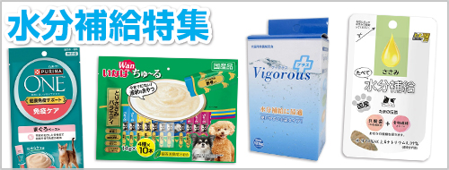 水分補給特集