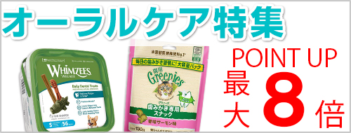 オーラルケア特集