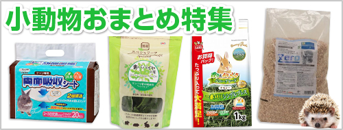 小動物おまとめ特集