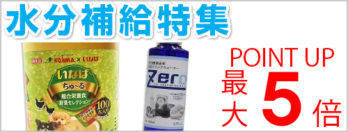 水分補給特集