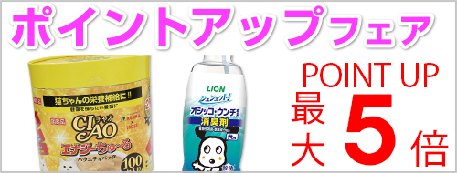 ポイントアップフェア