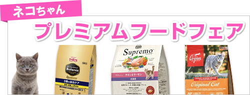 ネコちゃんのプレミアムフードフェア