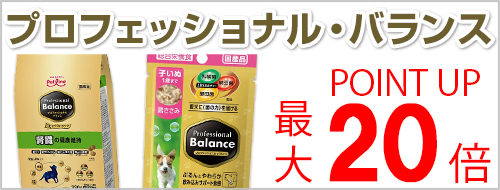 プロフェッショナル・バランスフェア