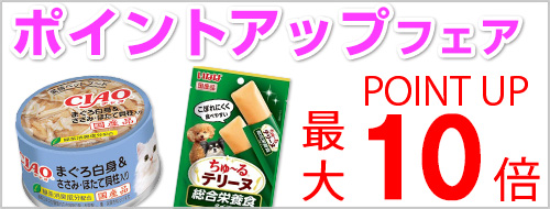 ポイントアップフェア