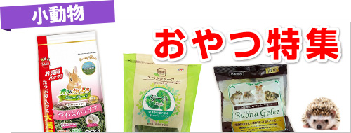 小動物のおやつ特集