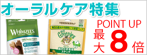 オーラルケア特集