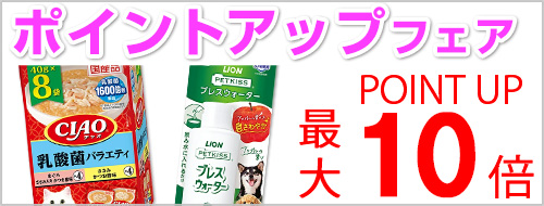 ポイントアップフェア