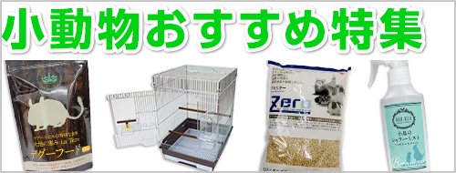 小動物おすすめ特集