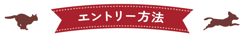 エントリー方法
