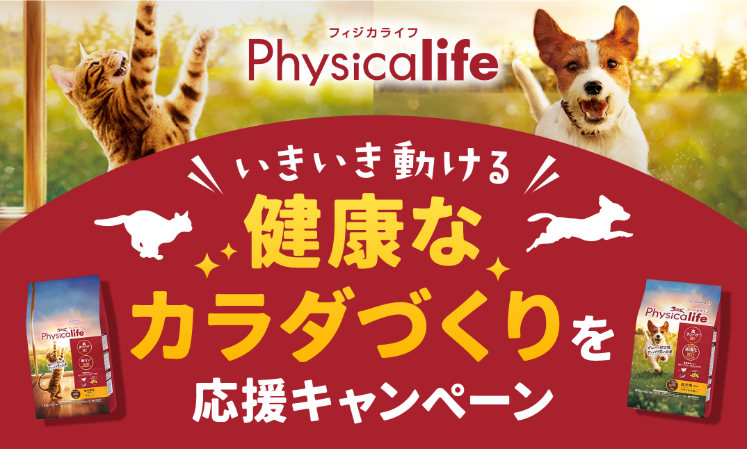 いきいき動ける健康なカラダづくりを応援キャンペーン