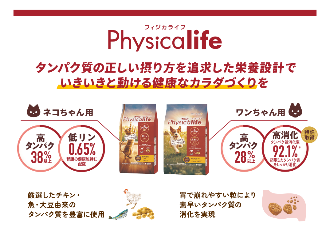 physicalife