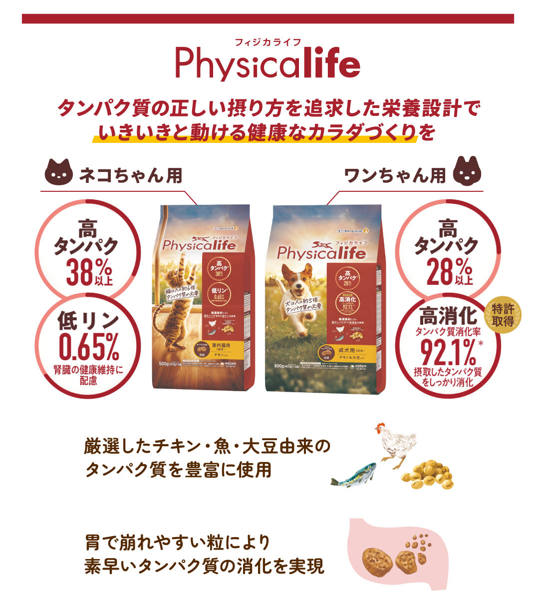 physicalife