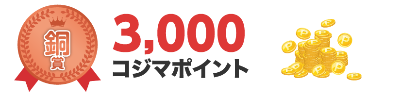 銅賞 3,000コジマポイント