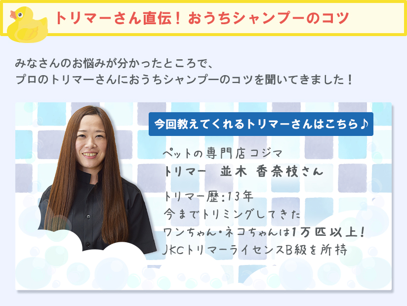 トリマーさん直伝！おうちシャンプーのコツ