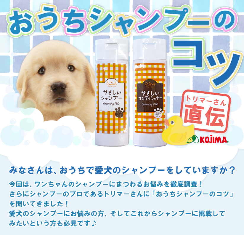 トリマーさん直伝 おうちシャンプーのコツ