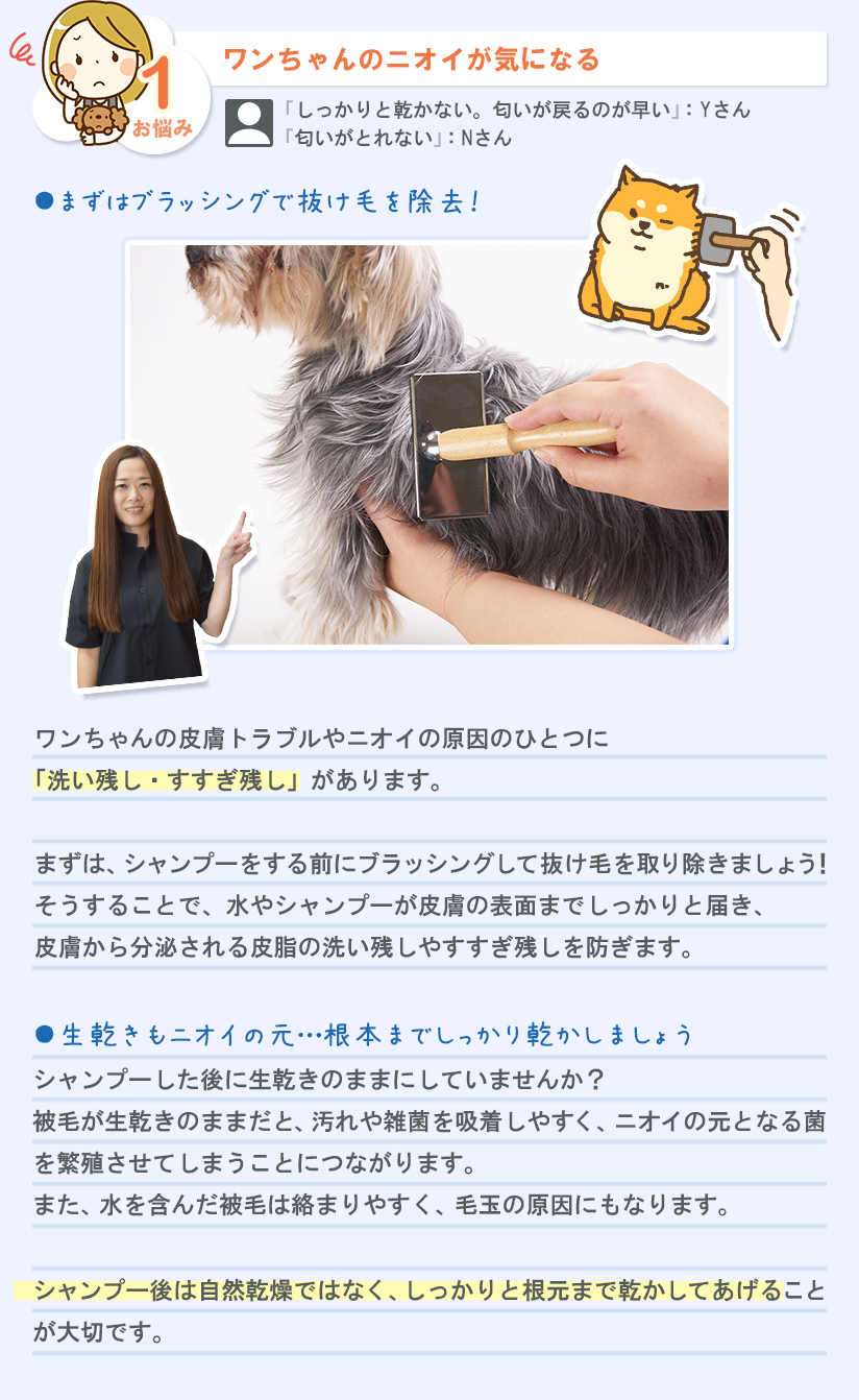 お悩み1 ワンちゃんのニオイが気になる
