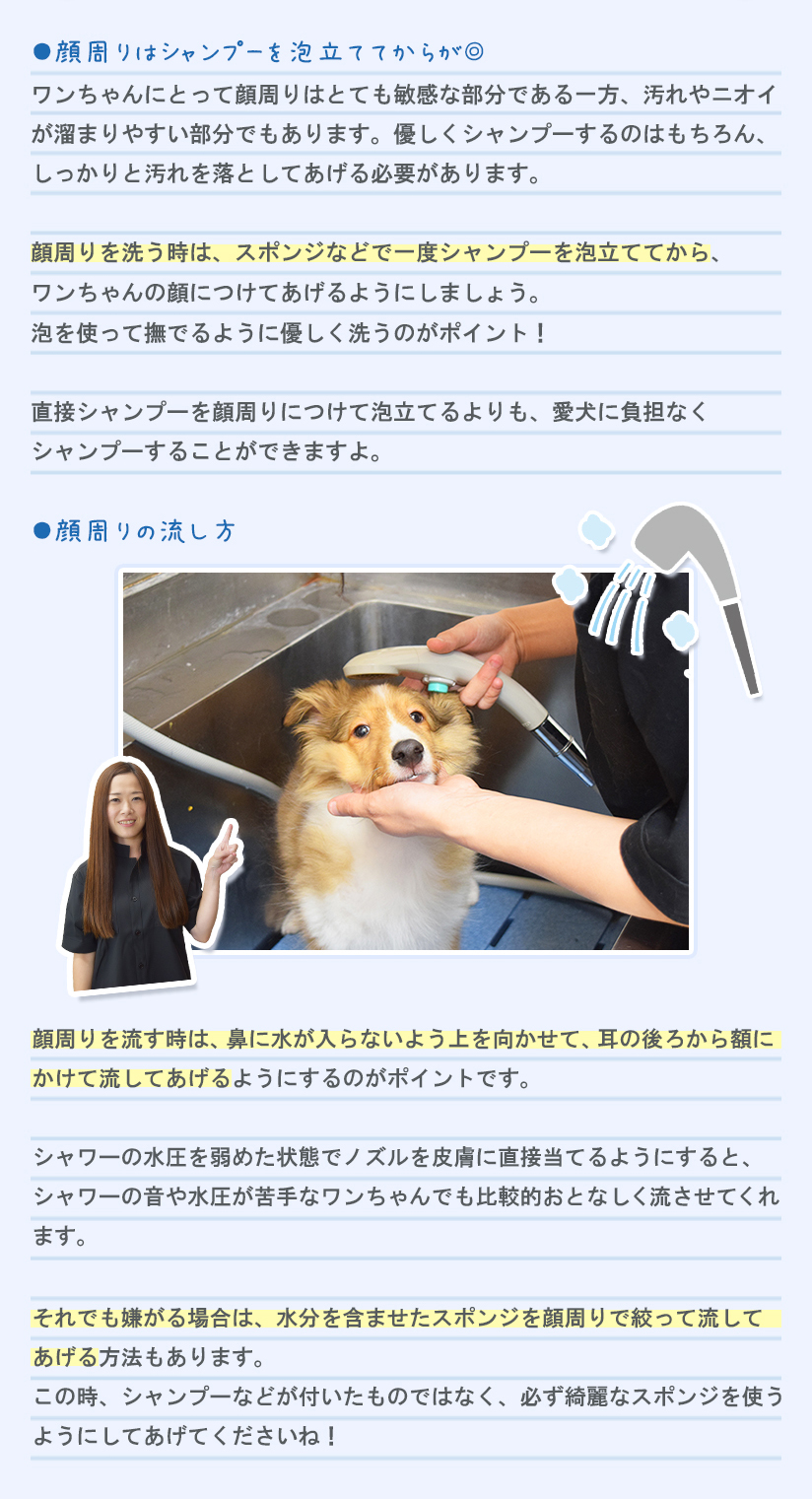 お悩み4 顔周りの洗い方が難しい