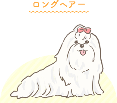 ロングヘアー