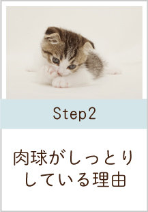 肉球がしっとりしている理由
