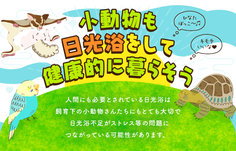 小動物も日光浴をして健康的に暮らそう