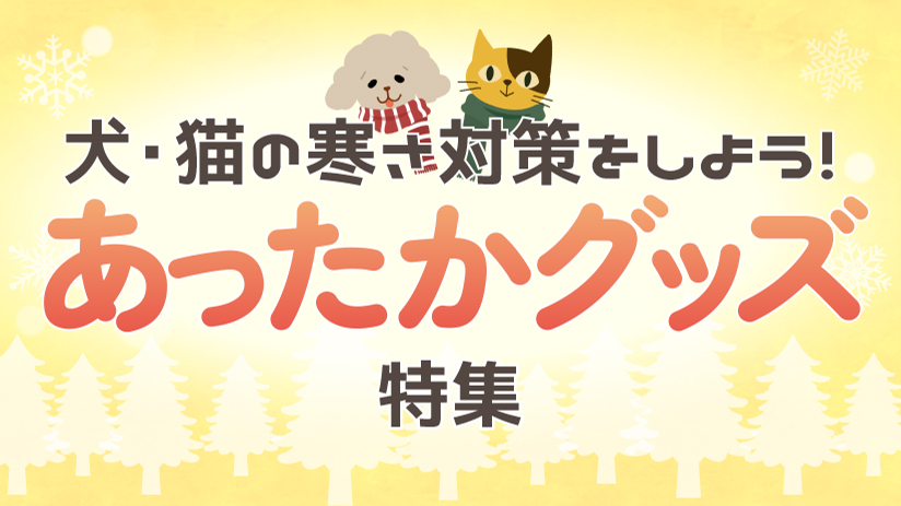 犬・猫の寒さ対策をしよう！あったかグッズ特集