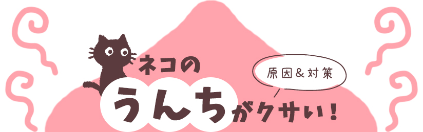 ネコのうんちがクサい！