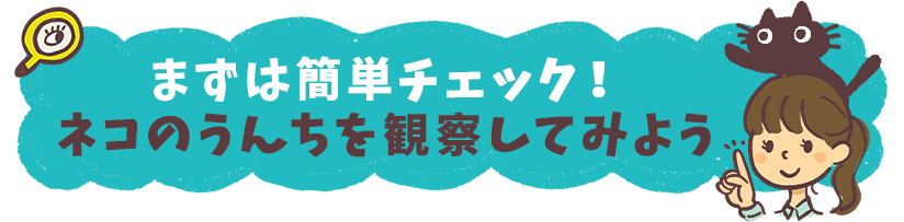 まずは簡単チェック！ネコのうんちを観察してみよう