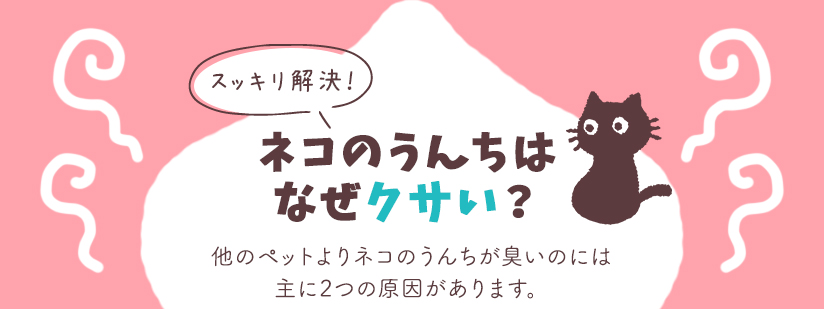スッキリ解決！ネコのうんちはなぜクサい？