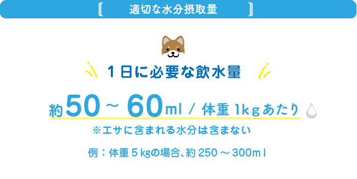 適切な水分摂取量