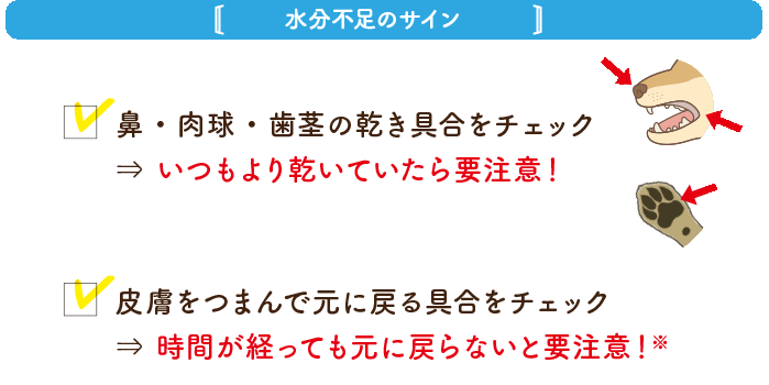 水分不足のサイン