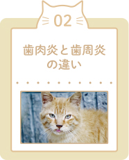 歯肉炎と歯周炎の違い